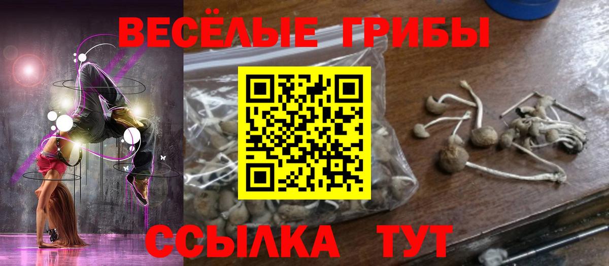 Уварово  Галлюциногенные грибы GOLDEN TEACHER  Вход с VPN 