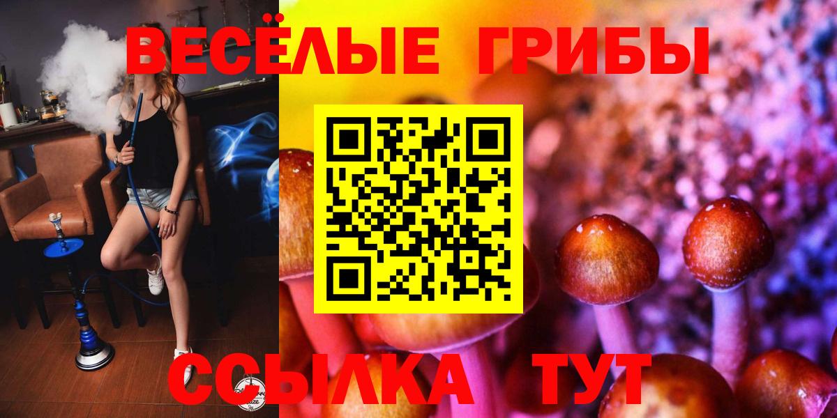 Псилоцибиновые грибы Cubensis Уварово